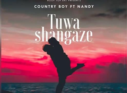 AUDIO: Country Boy Ft Nandy - Tuwashangaze Mp3 Download