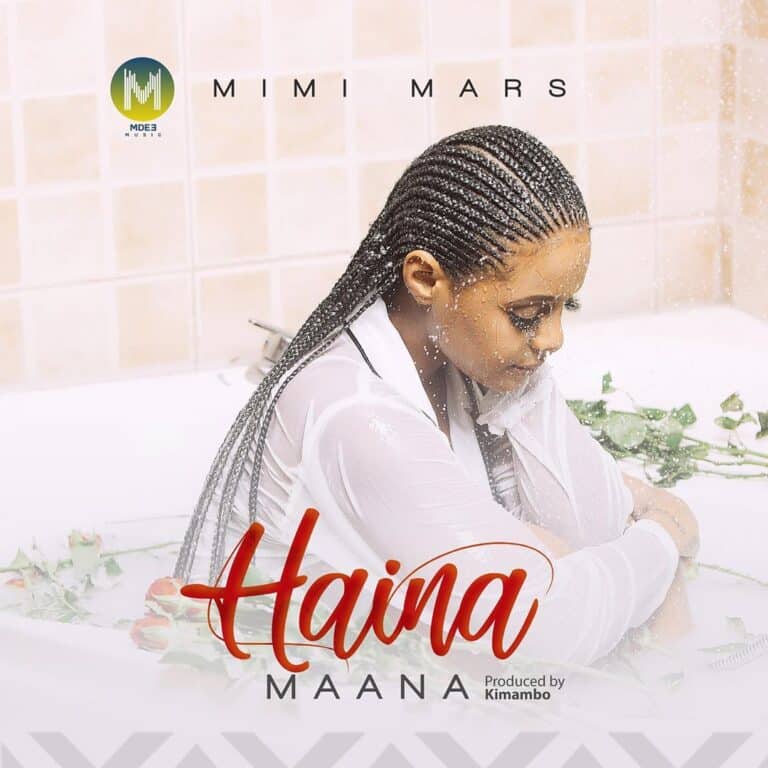 AUDIO: Mimi Mars – Haina Maana Mp3 Download