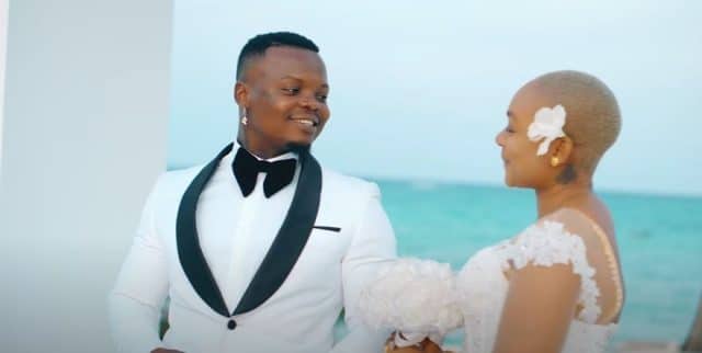 VIDEO: Harmonize - Nitaubeba Mp4 Download