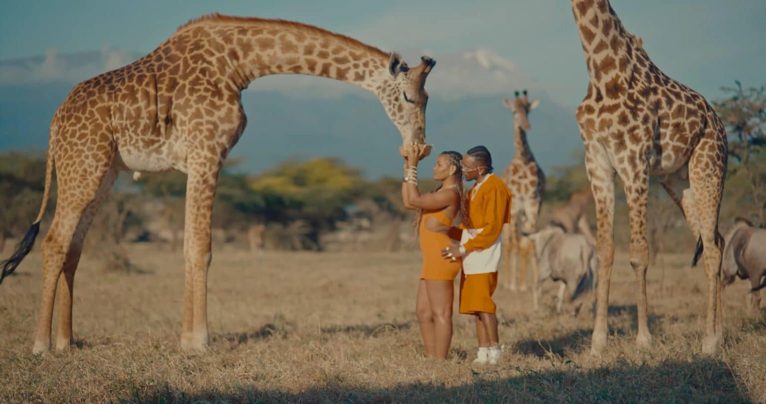 Download: Marioo - Hakuna Matata VIDEO