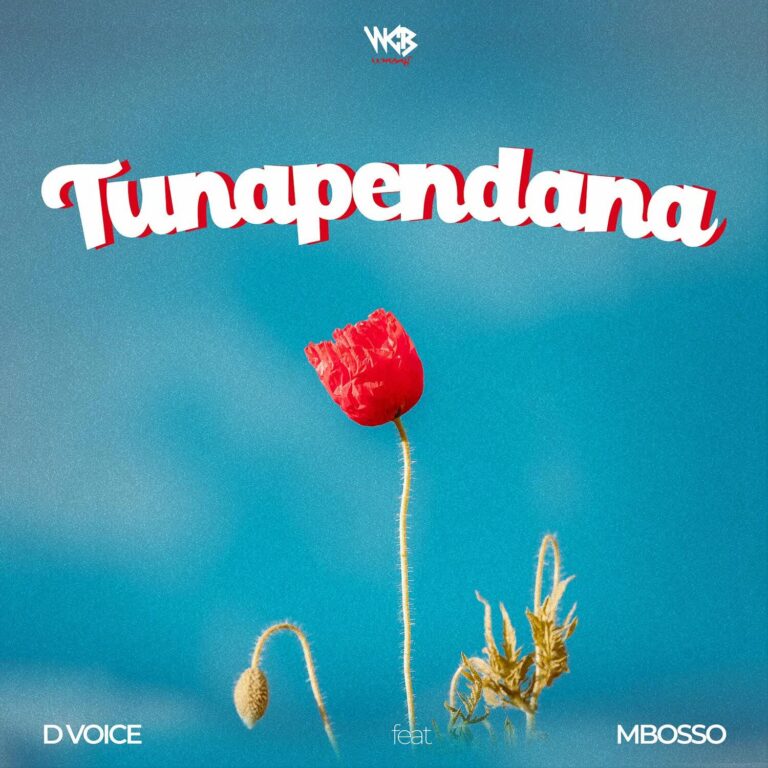 Download: D Voice Ft Mbosso – Tunapendana AUDIO