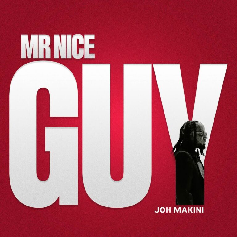 Download: Joh Makini - Mr Nice Guy AUDIO