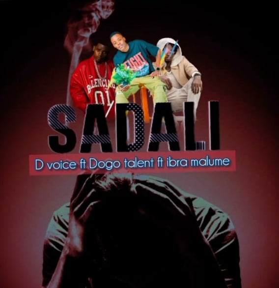 Download: D Voice Ft Malume X Dogo Talent – Sadali AUDIO